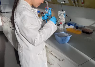 Ying in the laboratory, adjusting a pipette