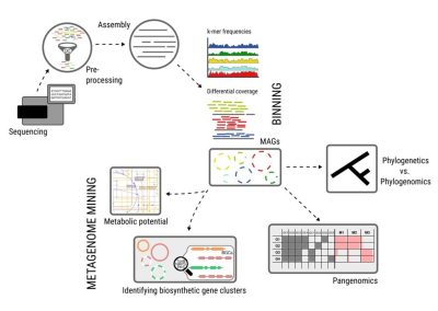 Workshop synopsis of genome-resolved metagenomics2