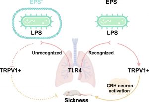 2024_Signal_Transduction_and_Targeted_Therapy